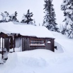 Tiny House Blizzard