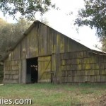 Tiny House in a Sheep Barn