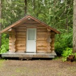 Tiny Log Cabin in the Woods