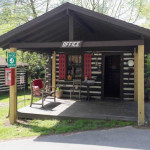 tiny-logc-cabin-asheville-006