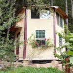 tiny-off-grid-cabin-in-forest-001