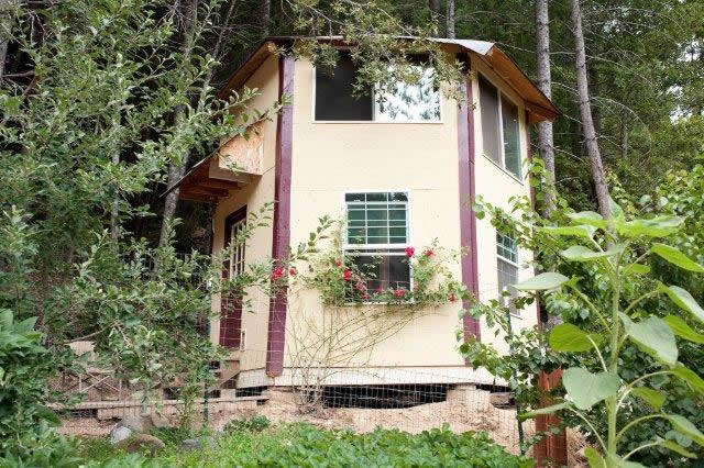 tiny-off-grid-cabin-in-forest-001