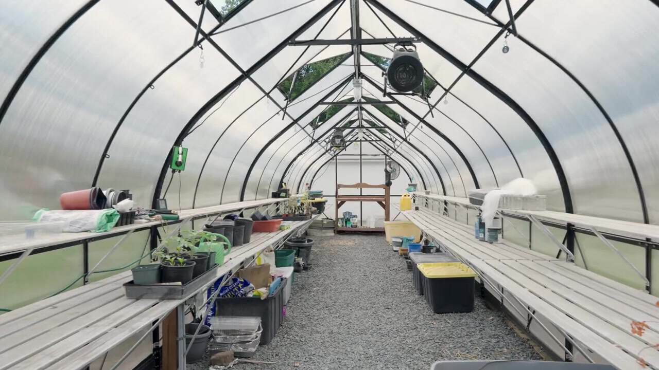 Interior of the community greenhouse with a gravel aisle, two-tier benches of seedlings, and ridge-mounted fans