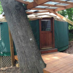 tiny-yurt-retreat-near-asheville-001