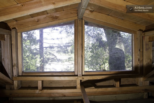 Interior of Treehouse Windows