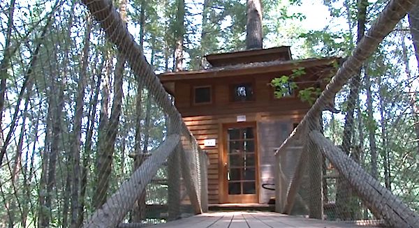 Treehouse Resort