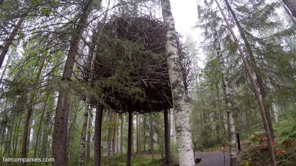 ufo-like-treehouses-in-forest-005