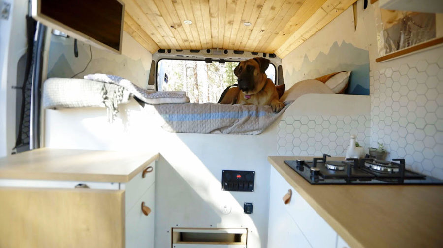 Remote Work & Travel from her Promaster Van