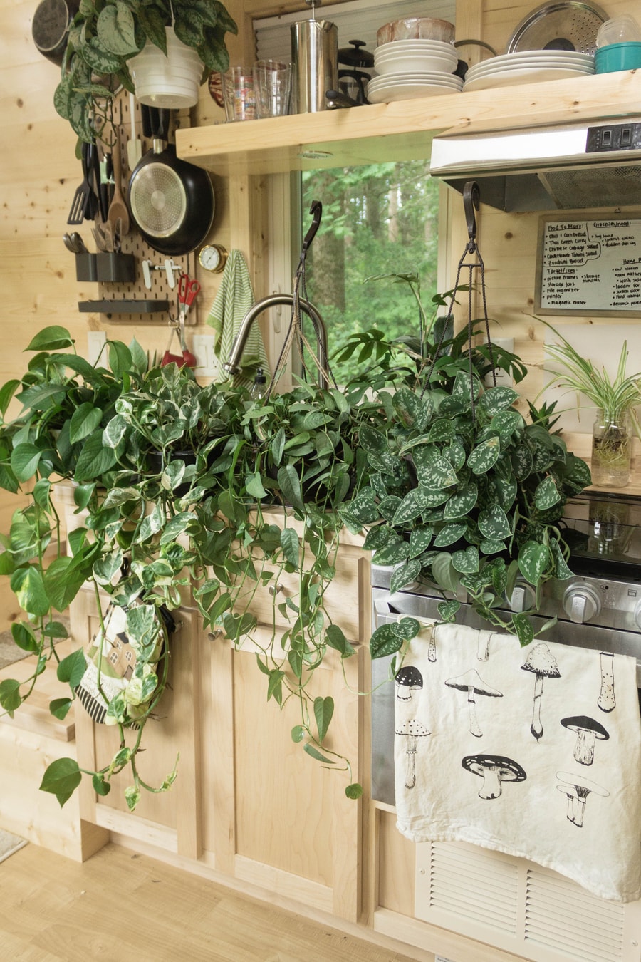 Grace's Plant-Filled Oasis Tiny Home in Massachusetts