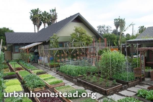 urban-homestead-family-in-la-tiny-organic-farm-001