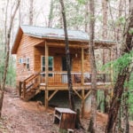 Wanda’s World Cabin with Nearby Goats 11
