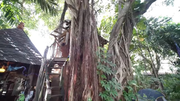 woman-who-raised-3-children-in-DIY-tree-house-001