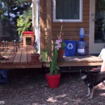young-couple-living-and-working-in-a-tiny-house-02