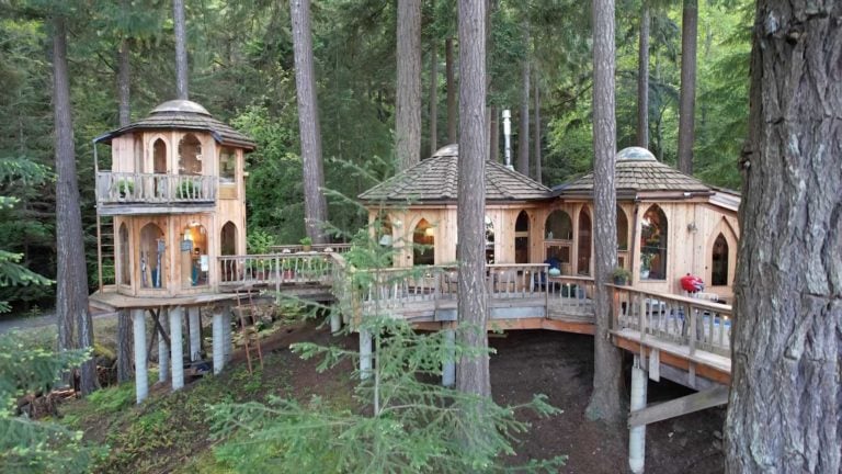 SunRay Kelley Built Forest House on Orcas Island